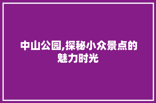 中山公园,探秘小众景点的魅力时光