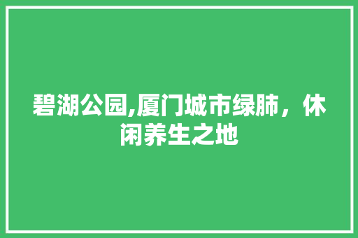 碧湖公园,厦门城市绿肺，休闲养生之地