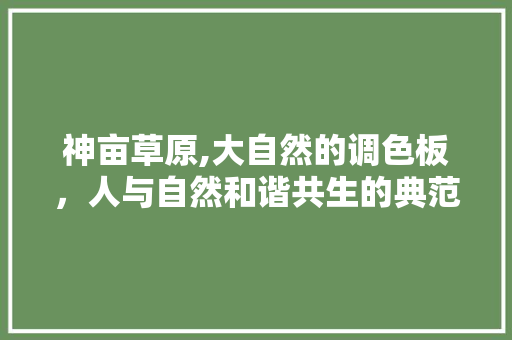 神亩草原,大自然的调色板，人与自然和谐共生的典范