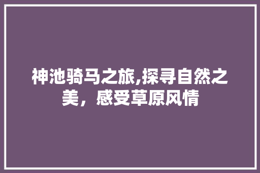 神池骑马之旅,探寻自然之美，感受草原风情