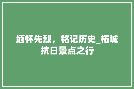 缅怀先烈，铭记历史_柘城抗日景点之行