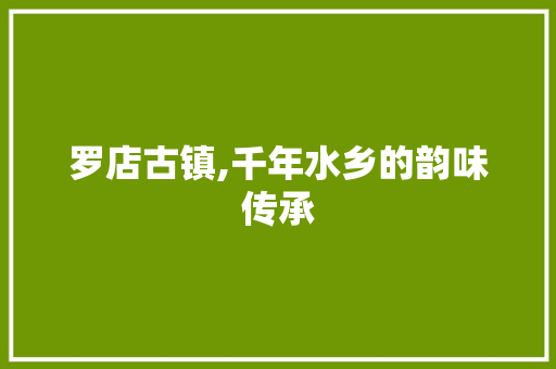 罗店古镇,千年水乡的韵味传承