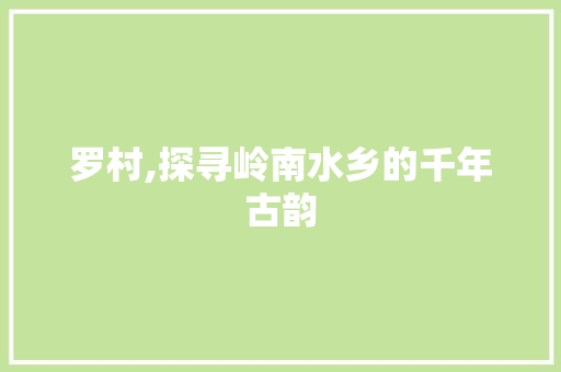 罗村,探寻岭南水乡的千年古韵