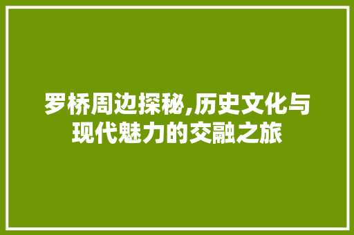 罗桥周边探秘,历史文化与现代魅力的交融之旅