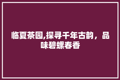 临夏茶园,探寻千年古韵，品味碧螺春香