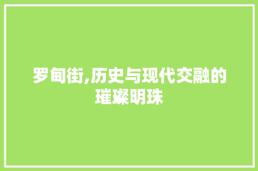 罗甸街,历史与现代交融的璀璨明珠