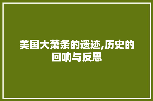 美国大萧条的遗迹,历史的回响与反思