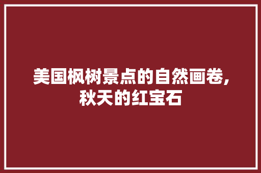 美国枫树景点的自然画卷,秋天的红宝石