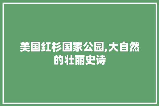 美国红杉国家公园,大自然的壮丽史诗