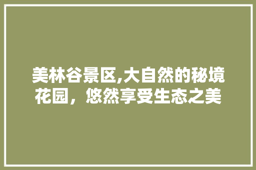 美林谷景区,大自然的秘境花园，悠然享受生态之美