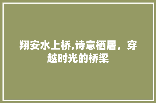 翔安水上桥,诗意栖居，穿越时光的桥梁