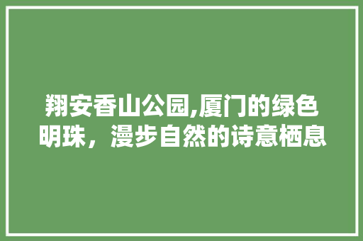 翔安香山公园,厦门的绿色明珠，漫步自然的诗意栖息地