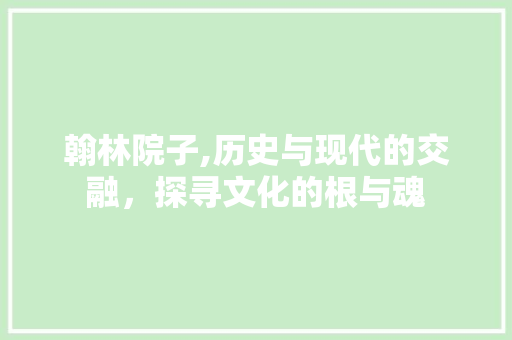 翰林院子,历史与现代的交融，探寻文化的根与魂