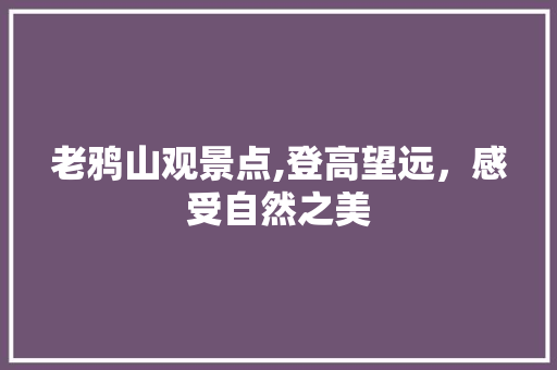 老鸦山观景点,登高望远，感受自然之美