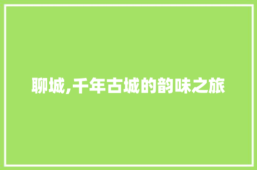 聊城,千年古城的韵味之旅