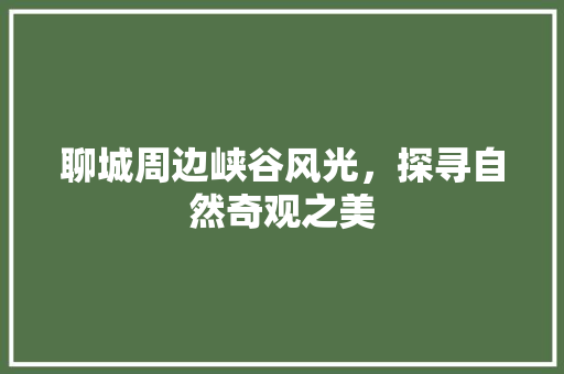 聊城周边峡谷风光，探寻自然奇观之美