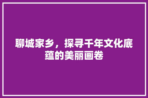 聊城家乡，探寻千年文化底蕴的美丽画卷