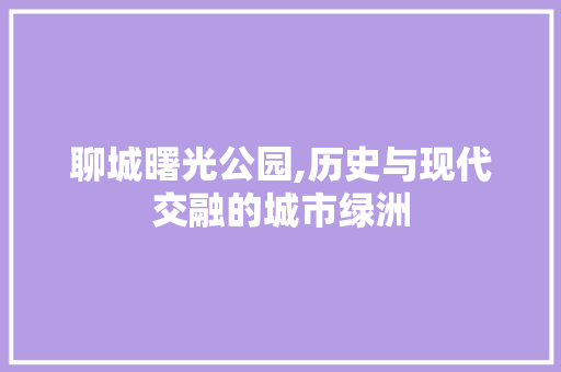 聊城曙光公园,历史与现代交融的城市绿洲