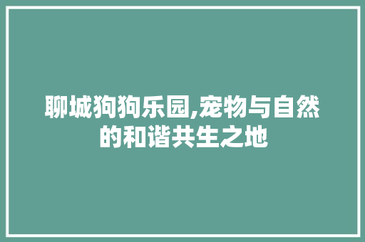 聊城狗狗乐园,宠物与自然的和谐共生之地