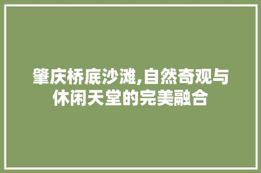 肇庆桥底沙滩,自然奇观与休闲天堂的完美融合