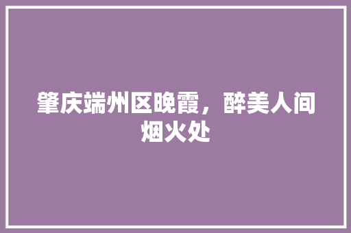 肇庆端州区晚霞，醉美人间烟火处