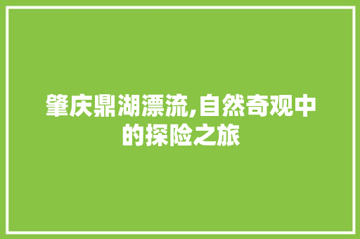 肇庆鼎湖漂流,自然奇观中的探险之旅