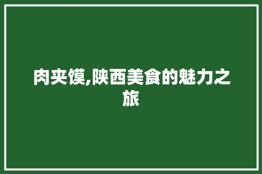 肉夹馍,陕西美食的魅力之旅