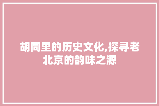 胡同里的历史文化,探寻老北京的韵味之源