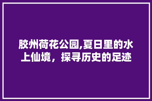 胶州荷花公园,夏日里的水上仙境，探寻历史的足迹