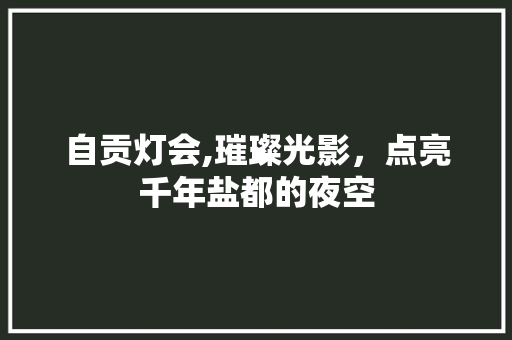 自贡灯会,璀璨光影，点亮千年盐都的夜空