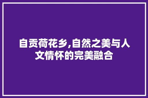 自贡荷花乡,自然之美与人文情怀的完美融合