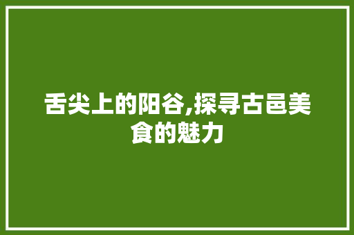 舌尖上的阳谷,探寻古邑美食的魅力