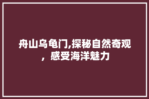 舟山乌龟门,探秘自然奇观，感受海洋魅力