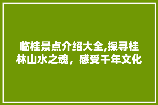 临桂景点介绍大全,探寻桂林山水之魂，感受千年文化底蕴