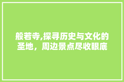 般若寺,探寻历史与文化的圣地，周边景点尽收眼底