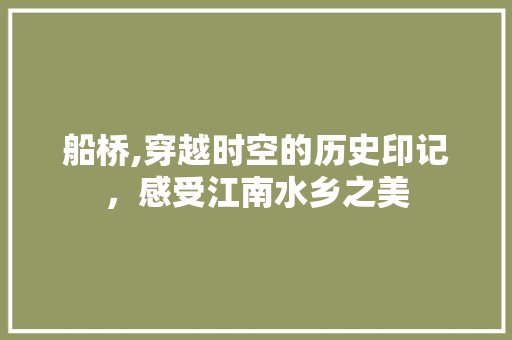 船桥,穿越时空的历史印记，感受江南水乡之美