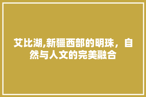 艾比湖,新疆西部的明珠，自然与人文的完美融合