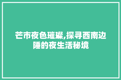 芒市夜色璀璨,探寻西南边陲的夜生活秘境