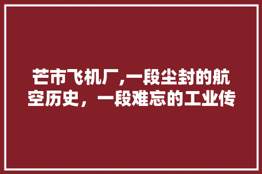 芒市飞机厂,一段尘封的航空历史，一段难忘的工业传奇