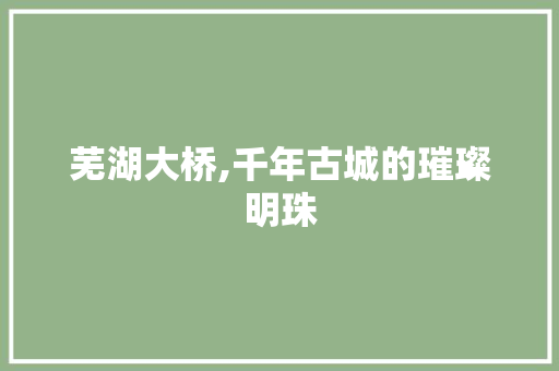 芜湖大桥,千年古城的璀璨明珠