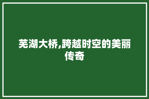 芜湖大桥,跨越时空的美丽传奇