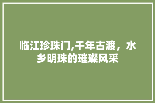 临江珍珠门,千年古渡，水乡明珠的璀璨风采