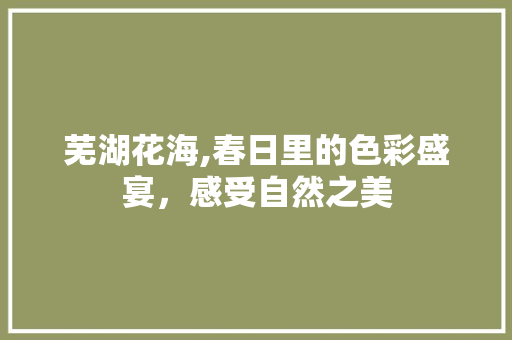 芜湖花海,春日里的色彩盛宴，感受自然之美