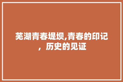 芜湖青春堤坝,青春的印记，历史的见证