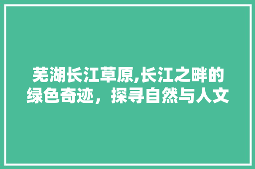 芜湖长江草原,长江之畔的绿色奇迹，探寻自然与人文的和谐交融