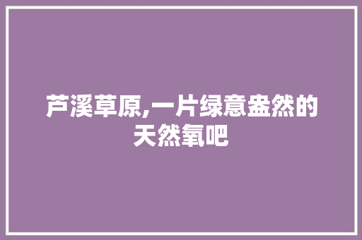 芦溪草原,一片绿意盎然的天然氧吧