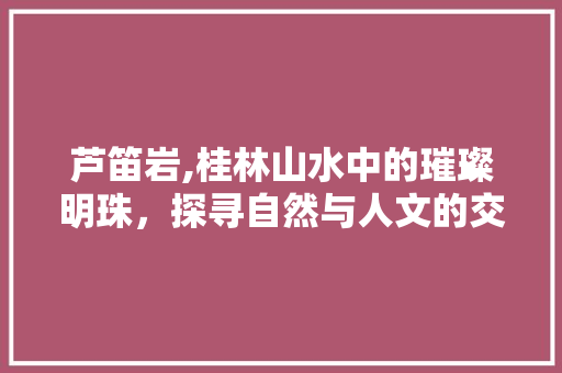 芦笛岩,桂林山水中的璀璨明珠，探寻自然与人文的交融之美