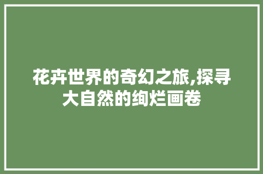 花卉世界的奇幻之旅,探寻大自然的绚烂画卷