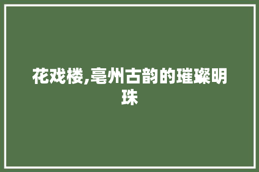 花戏楼,亳州古韵的璀璨明珠