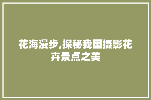 花海漫步,探秘我国摄影花卉景点之美